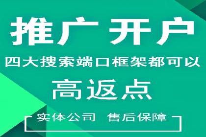 百度竞价广告的投放策略与成功案例分析